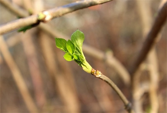 微信名字男士简单气质的