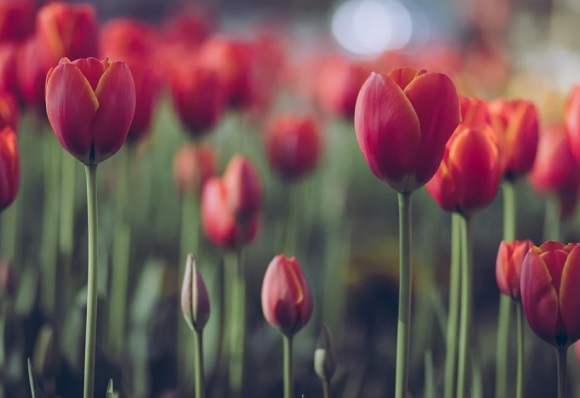 简单大气的微信昵称(共761个)