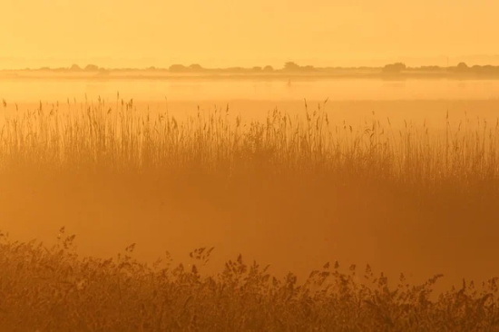 2025年最火微信网名400个，好听的微信昵称大全最新版