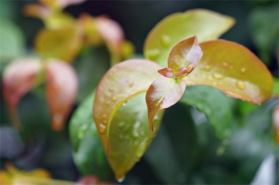 2025年好听的游戏名字400个