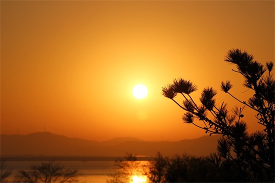 独一无二繁体字网名，限量绝版繁体字网名