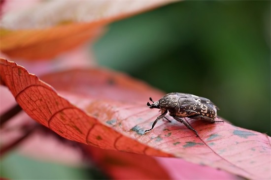 昵称简洁大气390个，好听简单大气的网名