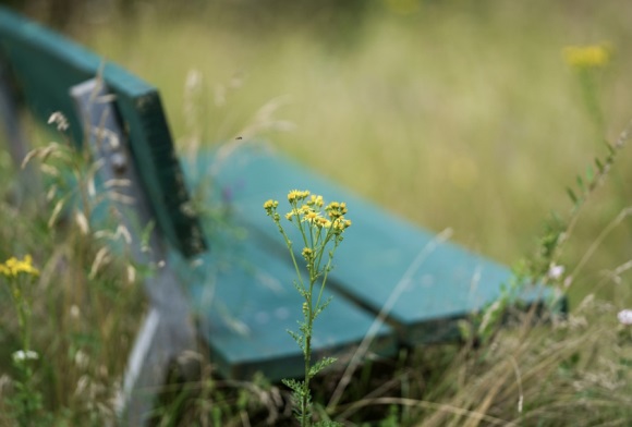 男士有气质的微信名字