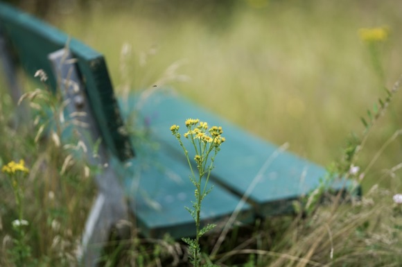 有气质内涵的微信名字大全 内涵气质的微信昵称(精选745个)